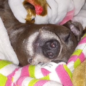 Meet your Posher, Kacey